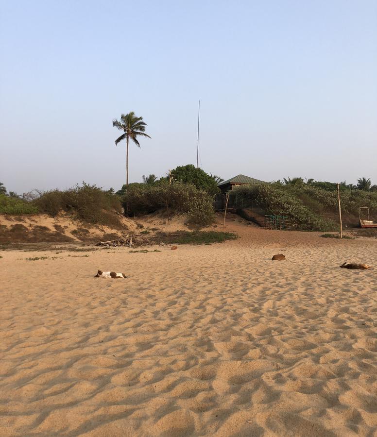 Peravel Beach Holiday Home Candolim Exterior foto
